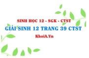 Giải Sinh 12 trang 39 Chân trời Sáng tạo